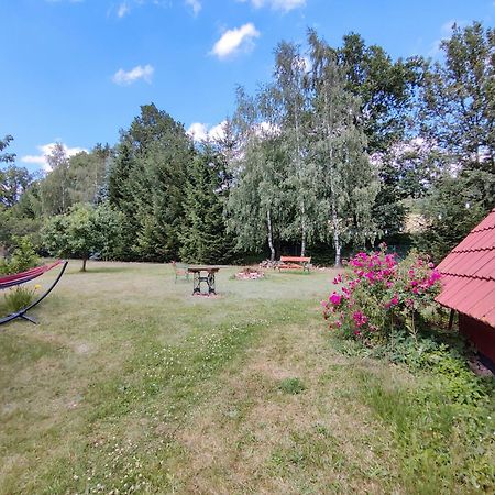 Apartament Izerskie Gaje Wojcieszyce Екстер'єр фото